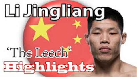 中国UFC第一人“吸血魔”李景亮KO高光合集